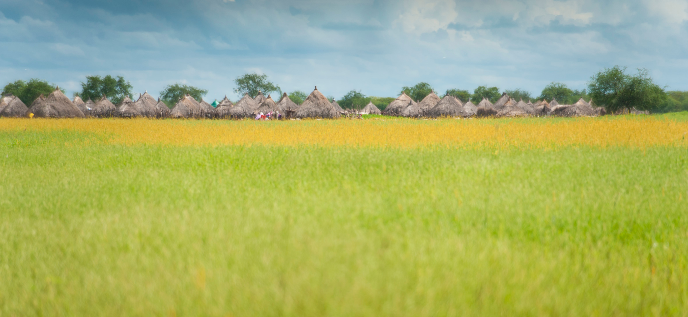 Field and houses in South Sudan